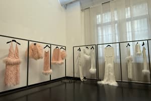 Showroom Open Space in Viale Sabotino, foto 5