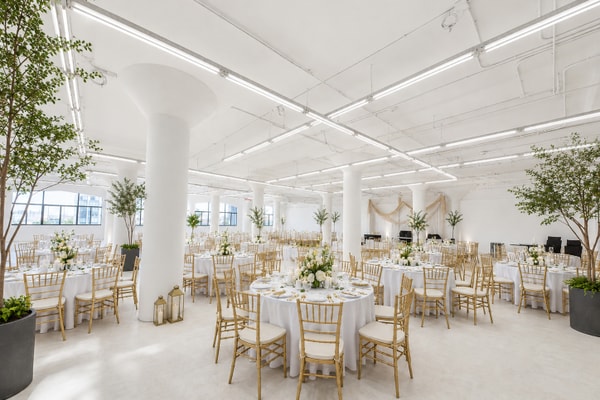 A Gallery with a Pulse