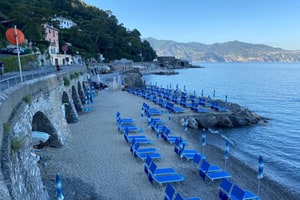 listings.show.sections.photos.alt