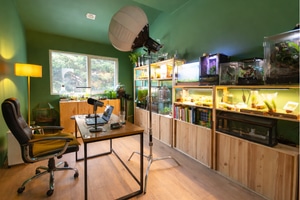 listings.show.sections.photos.alt