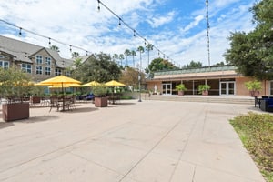 Outdoor patio on a historic university campus, foto 1