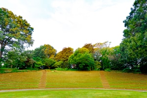 listings.show.sections.photos.alt