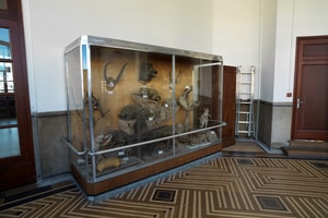 Bâtiment historique à rotonde, coupole en pavés de verre et cour intérieure, Paris 15e, 相片 2