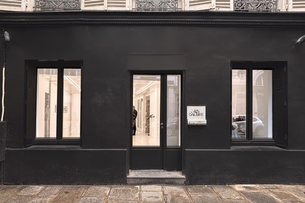 Galerie atypique au coeur du Haut Marais