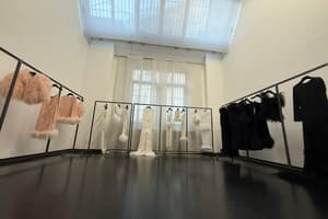 Showroom Open Space in Viale Sabotino, foto 3