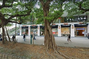 Prime Retail Store in the heart of Tsim Sha Tsui, foto 1