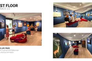 listings.show.sections.photos.alt