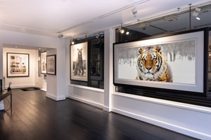 listings.show.sections.photos.alt