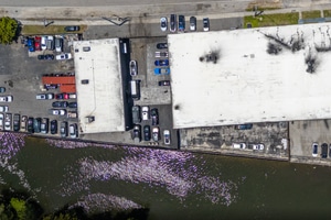 listings.show.sections.photos.alt