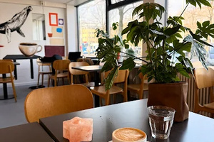 listings.show.sections.photos.alt