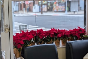 listings.show.sections.photos.alt