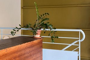 listings.show.sections.photos.alt