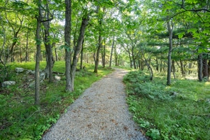 listings.show.sections.photos.alt