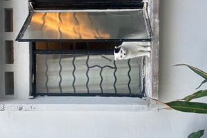 listings.show.sections.photos.alt