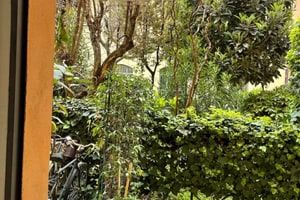 listings.show.sections.photos.alt