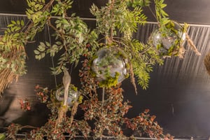 listings.show.sections.photos.alt