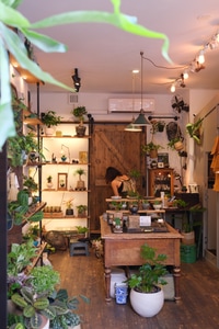 listings.show.sections.photos.alt