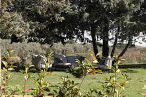 listings.show.sections.photos.alt