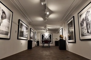 listings.show.sections.photos.alt