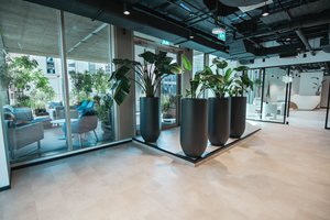 listings.show.sections.photos.alt