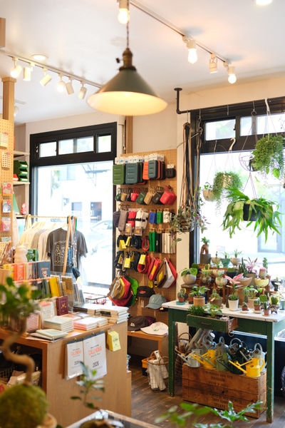 Pop-Up Perfect Space in Williamsburg Shared with Bonsai Shop