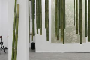 listings.show.sections.photos.alt