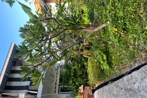 listings.show.sections.photos.alt