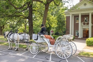 listings.show.sections.photos.alt