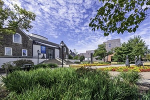 Open Campus Lawn for Outdoor Events in Collegeville, foto 7