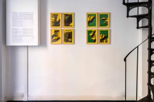listings.show.sections.photos.alt