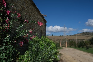 listings.show.sections.photos.alt