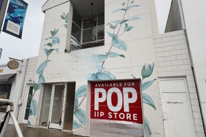 Abbot Kinney Blvd - SPACES ARE DIVISIBLE AND AVAILABLE FOR RENT SEPARATELY, WITH EACH SPACE OFFERED AT A SEPARATE RENTAL RATE., foto 1