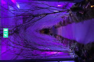 listings.show.sections.photos.alt