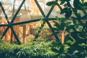 listings.show.sections.photos.alt