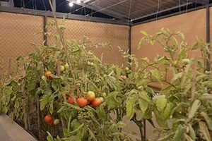 listings.show.sections.photos.alt