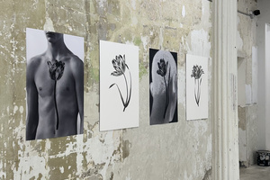 listings.show.sections.photos.alt