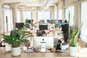 listings.show.sections.photos.alt