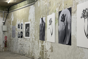 listings.show.sections.photos.alt
