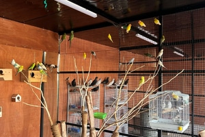 listings.show.sections.photos.alt