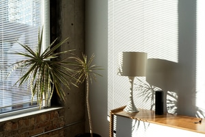 listings.show.sections.photos.alt