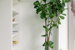 listings.show.sections.photos.alt