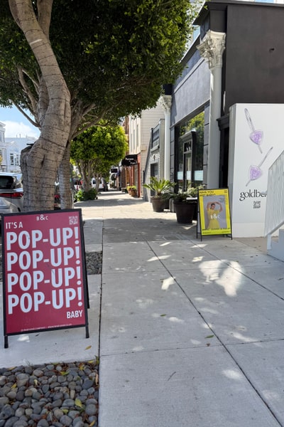 Presidio Heights fabulous brand new space !