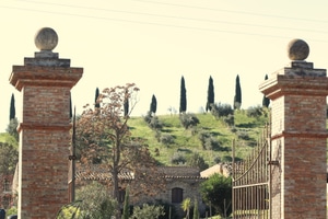 listings.show.sections.photos.alt