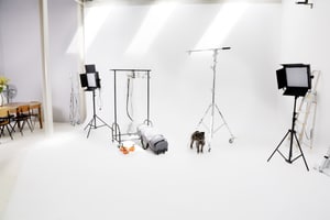 listings.show.sections.photos.alt