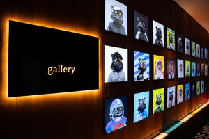 listings.show.sections.photos.alt