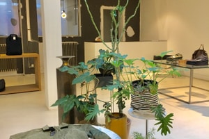 listings.show.sections.photos.alt