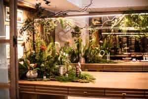 listings.show.sections.photos.alt