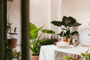 listings.show.sections.photos.alt