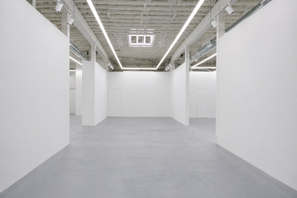 Light-filled Art Gallery Space