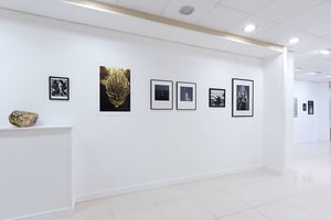 listings.show.sections.photos.alt